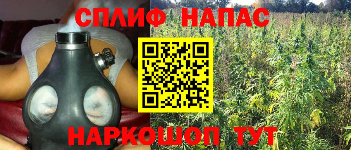 Марихуана ГИДРОПОН Вязьма